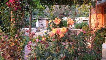 Jardin