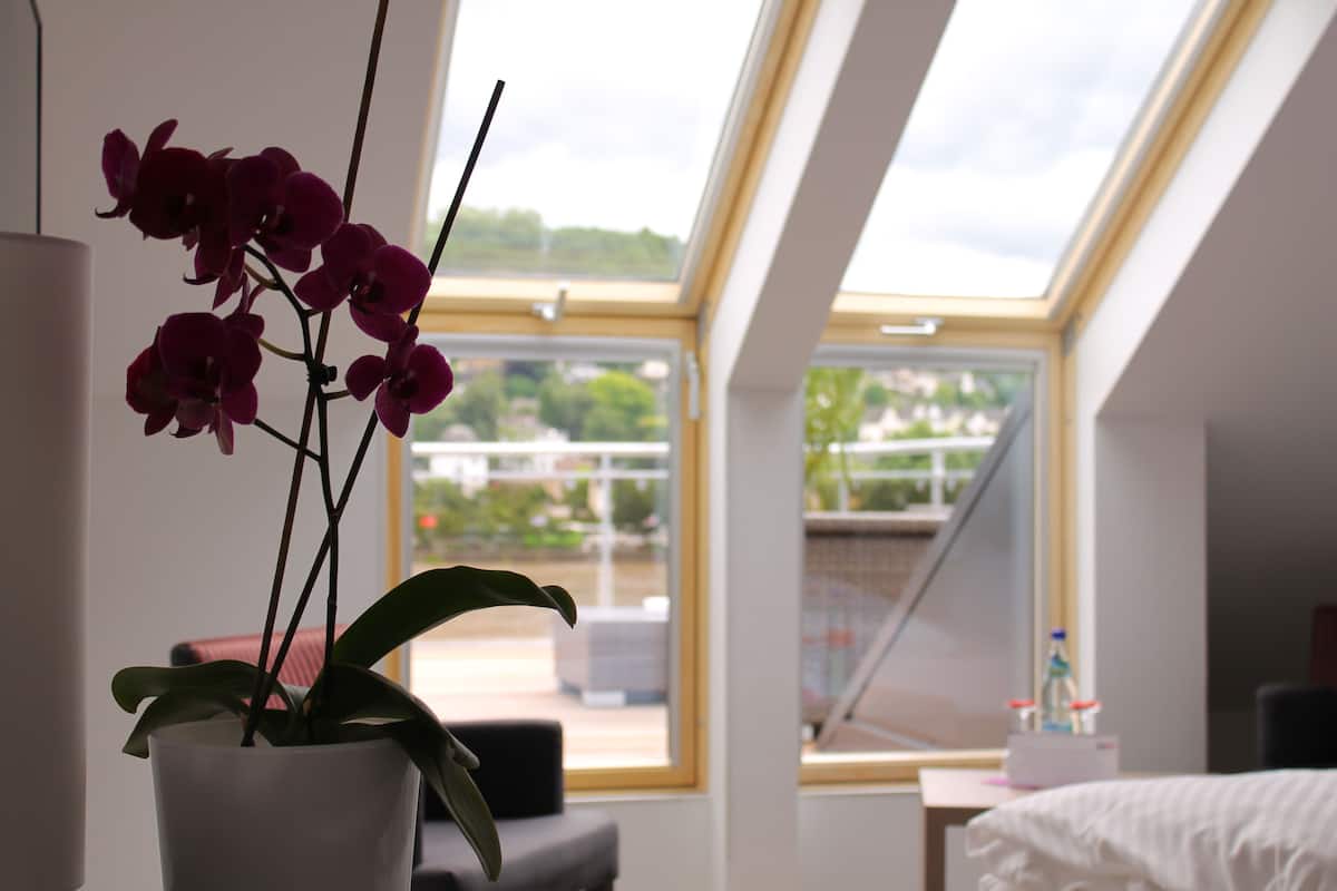 A room with a skylight, a potted orchid, a bed, and a view of the outside.