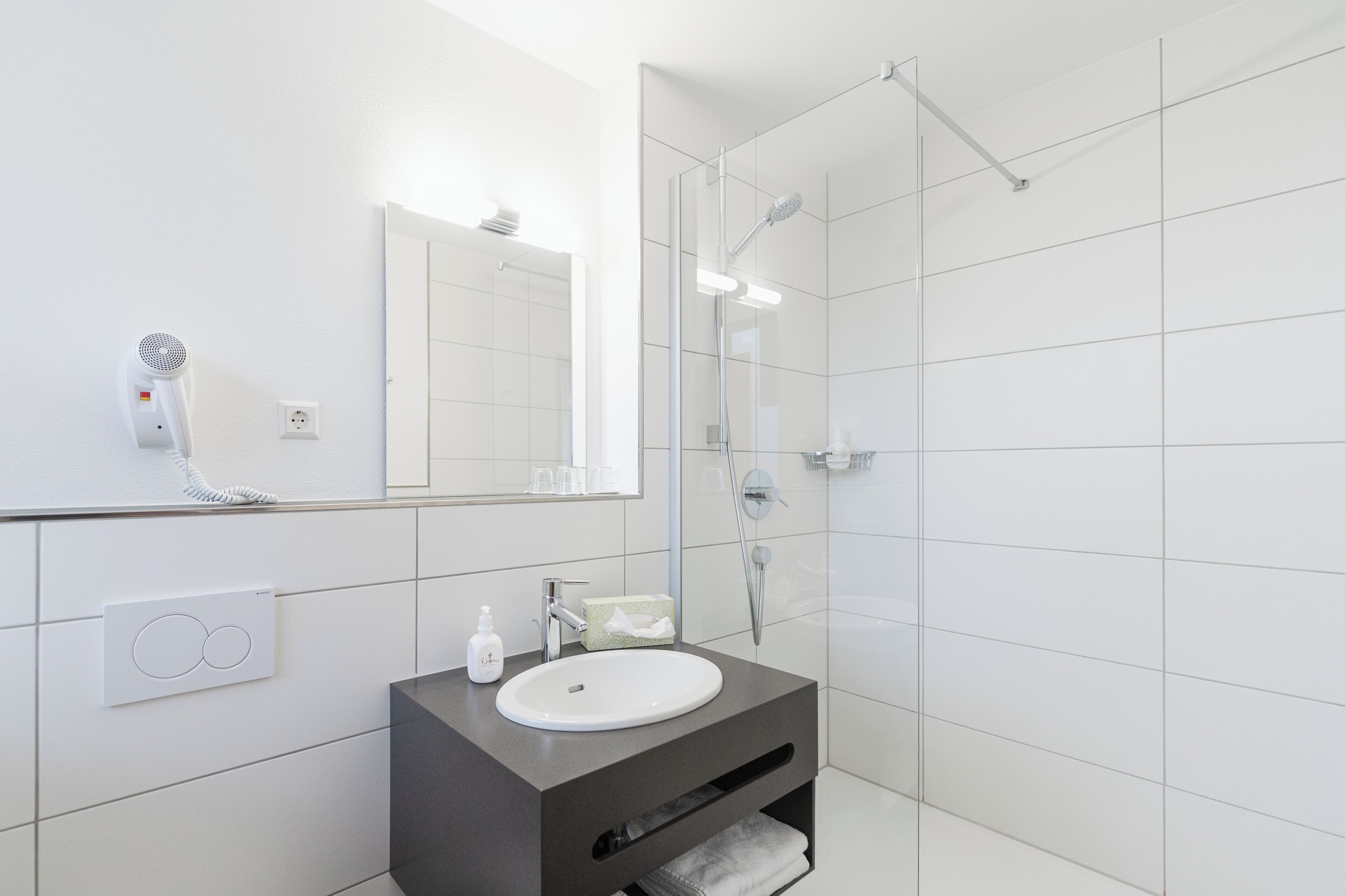 Shower, hair dryer, towels