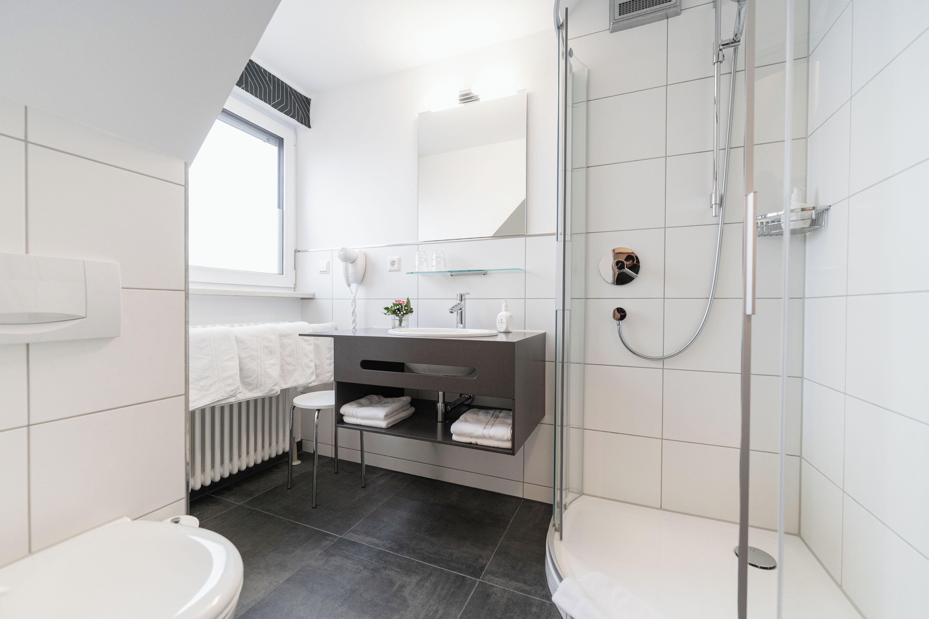 Dusche, Haartrockner, Handtücher