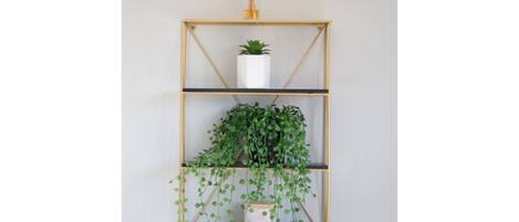 Estante de madera fijado a la pared con tres niveles, cada uno con una planta en maceta.