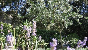A garden with various plants and a stone structure. - Hôtel Le Petit Manoir Provence (Les Angles)