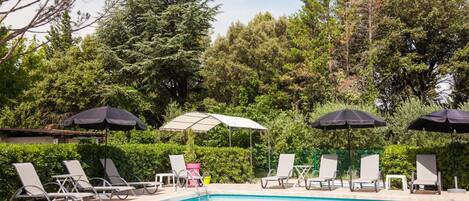 A swimming pool with lounge chairs and umbrellas, surrounded by greenery.