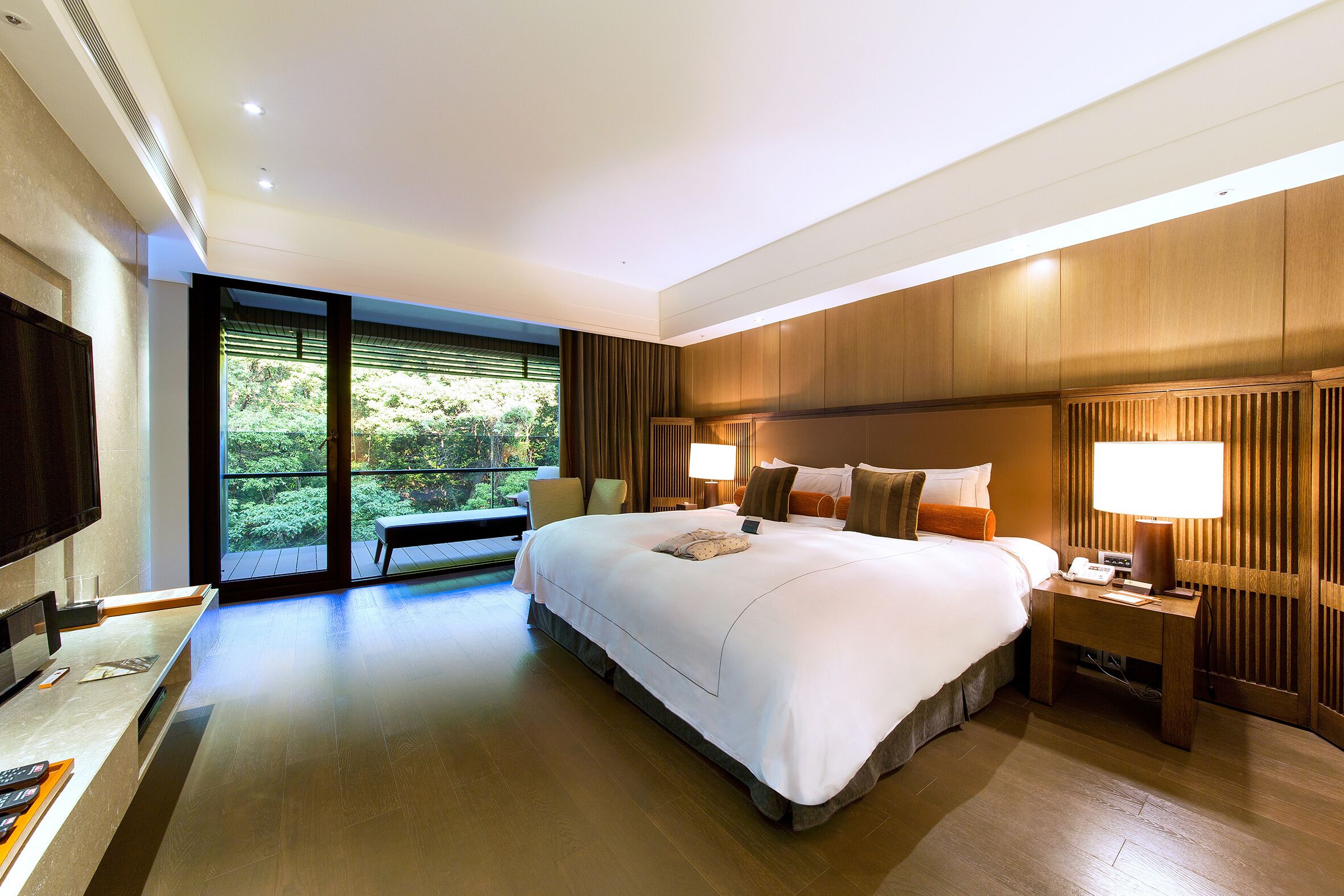 A modern hotel room with a large bed, bedside tables, a TV, and a view of greenery through the window.