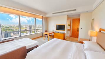Family Room City View with Sofa Bed | View from room