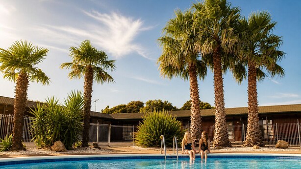 A swimming pool with palm trees, a fenced area, and a building with a tiled roof. - Teal Motor Lodge (Gisborne)