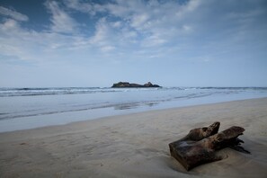 Beach bar - The Palms (Beruwala)