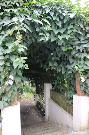 Un sendero de jardín bajo un arco cubierto de hiedra, con un muro de hormigón a un lado y un poste de madera al otro.