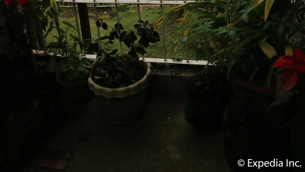 A balcony with a view of a large body of water and distant islands, surrounded by potted plants and a metal railing. - Joaquin's Bed and Breakfast (Tagaytay)