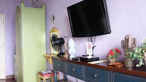 A room with a wooden floor, a green wardrobe, a television, a cactus, and a bookshelf with books. - Joaquin's Bed and Breakfast (Tagaytay)