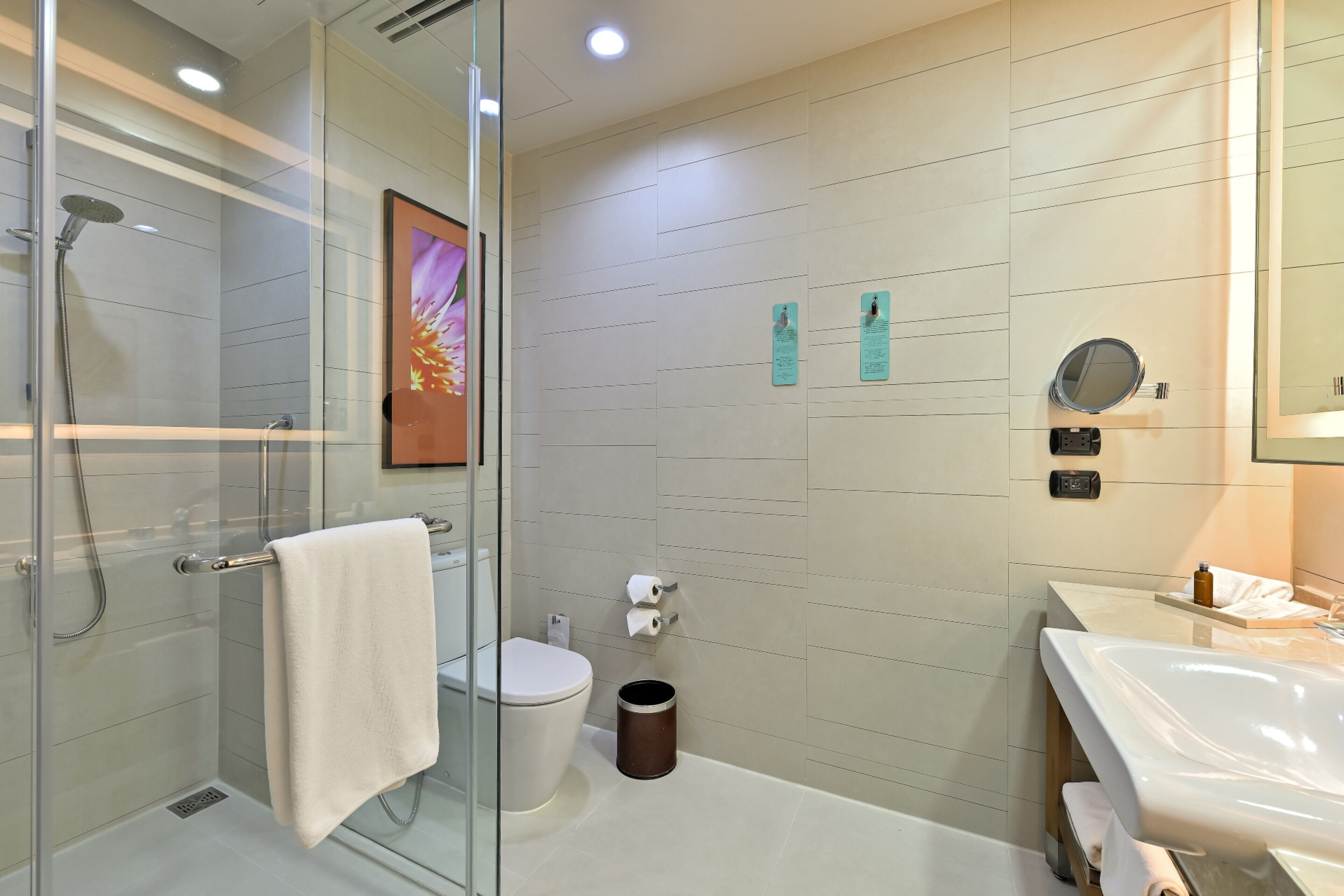 A modern bathroom with a glass shower enclosure, a toilet, a sink, and a mirror.