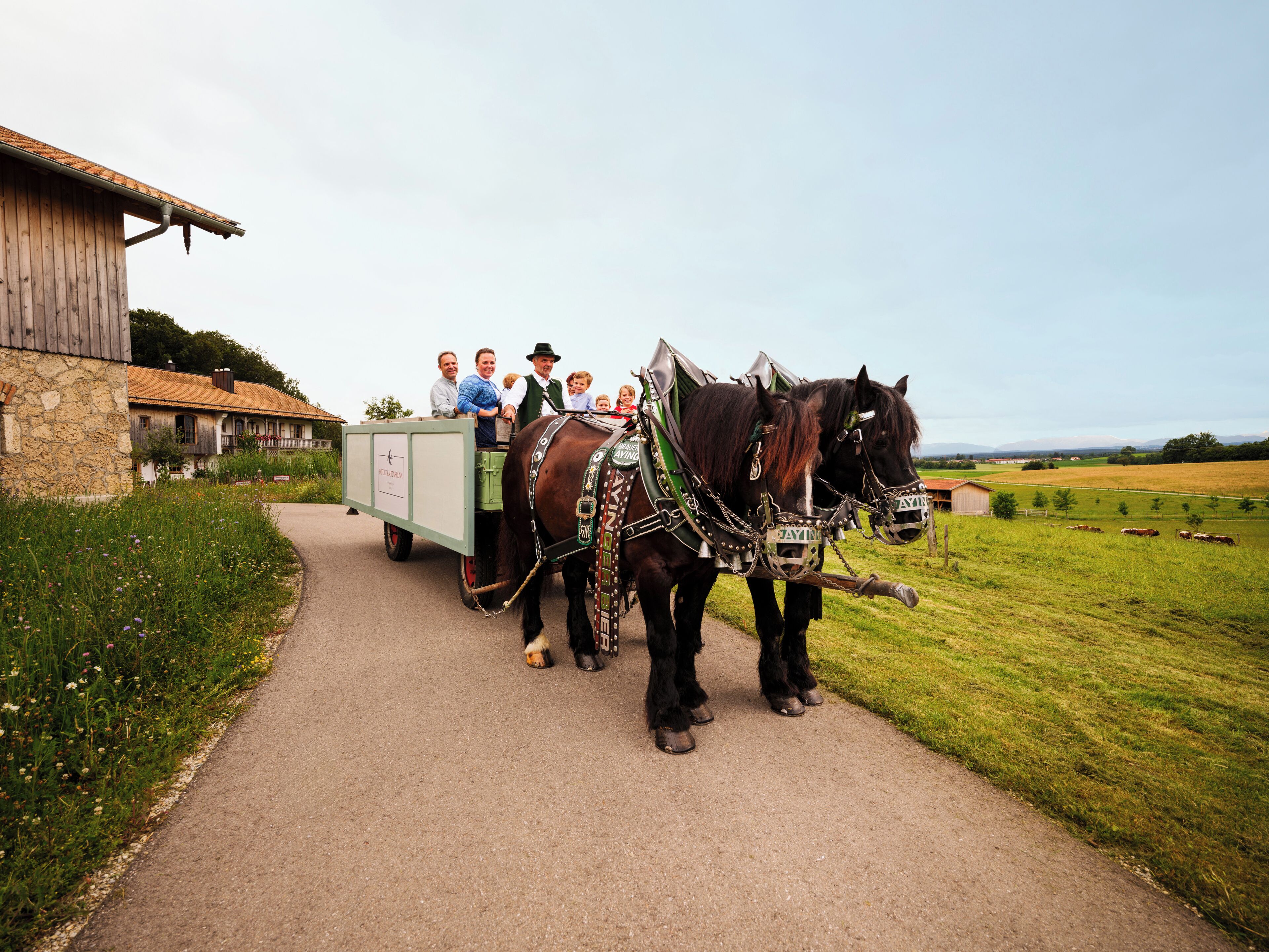 children’s activities