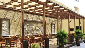 Un área de café al aire libre con sillas y mesas de madera, plantas en macetas y decoración mural.