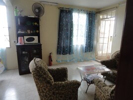 Flat-screen TV, DVD player