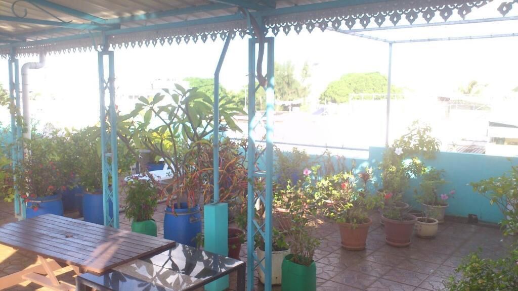 Un área de patio techada con una mesa y sillas, rodeada de plantas en macetas y una barandilla azul.