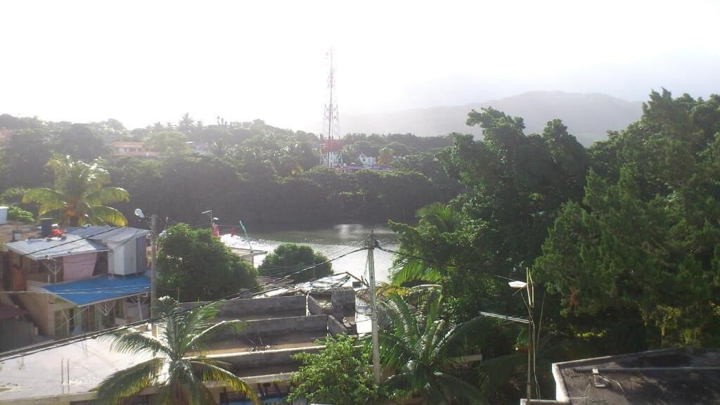 A view of a river with boats, surrounded by dense greenery and buildings.