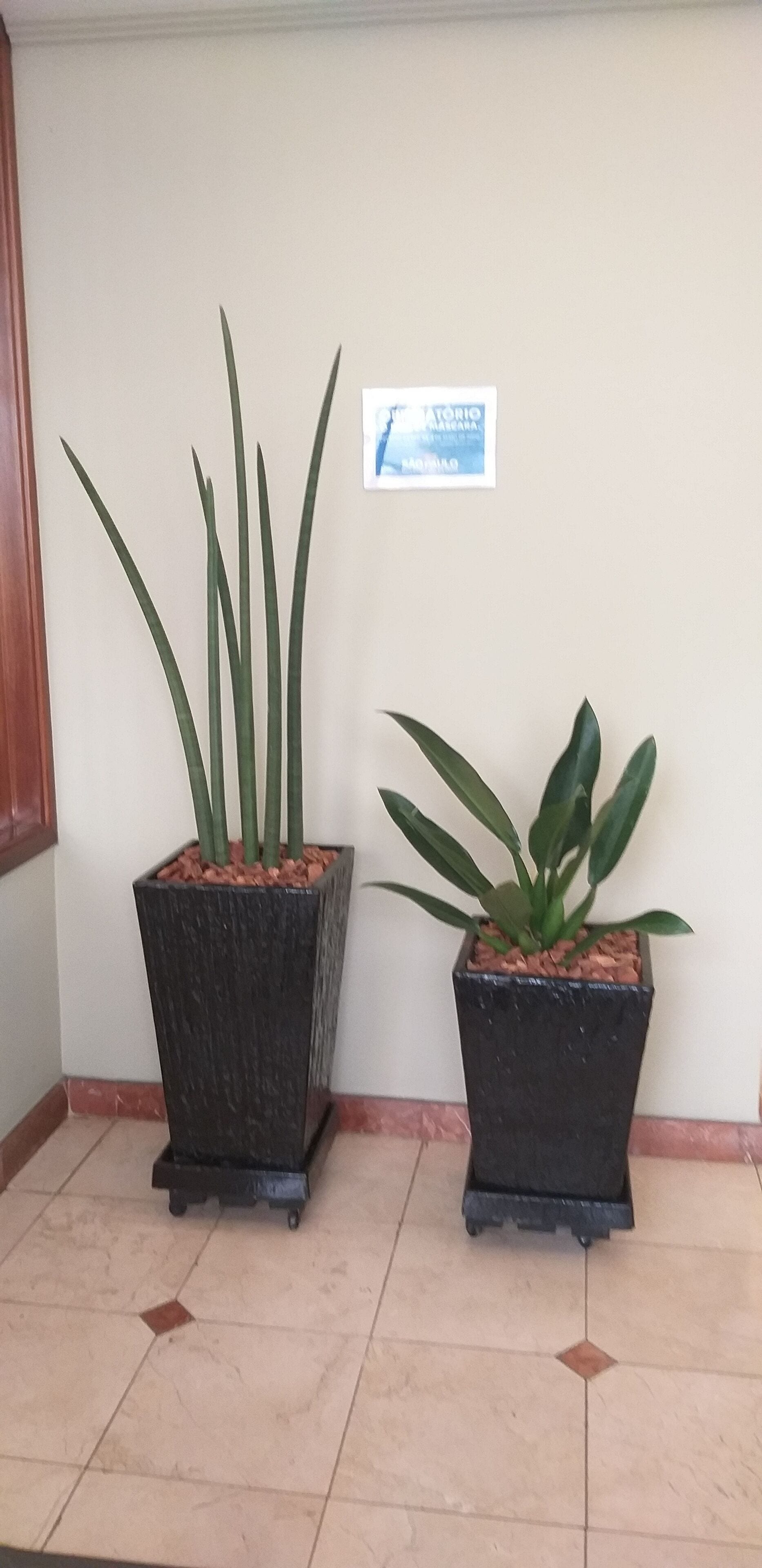 Foto - Hotel Moncloa