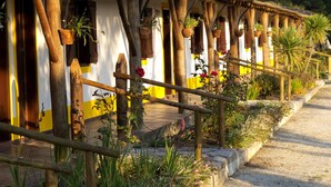 A rustic building with wooden beams and a yellow and white facade, featuring potted plants and a gravel pathway. - A Coutada Hotel Rural (Peniche)