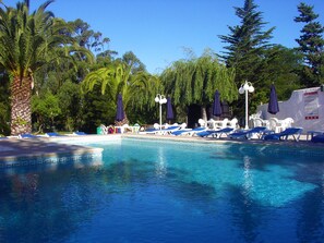 A pool area with lounge chairs and umbrellas, surrounded by trees and a clear sky.