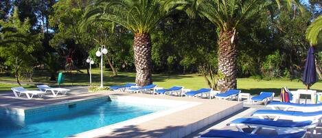 Un área de piscina con sillones de descanso y palmeras.