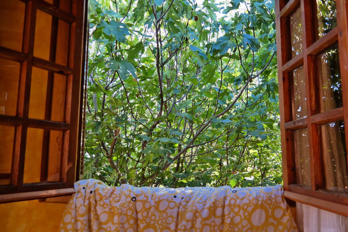 Twin Room | Premium bedding, desk, laptop workspace, blackout curtains