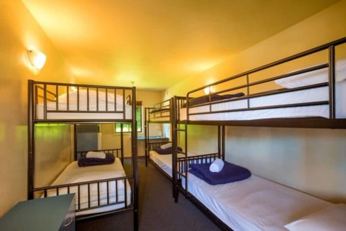 Dormitorio compartido estándar (4 Bed Dorm with ensuite) | 1 habitación, wifi gratis y ropa de cama