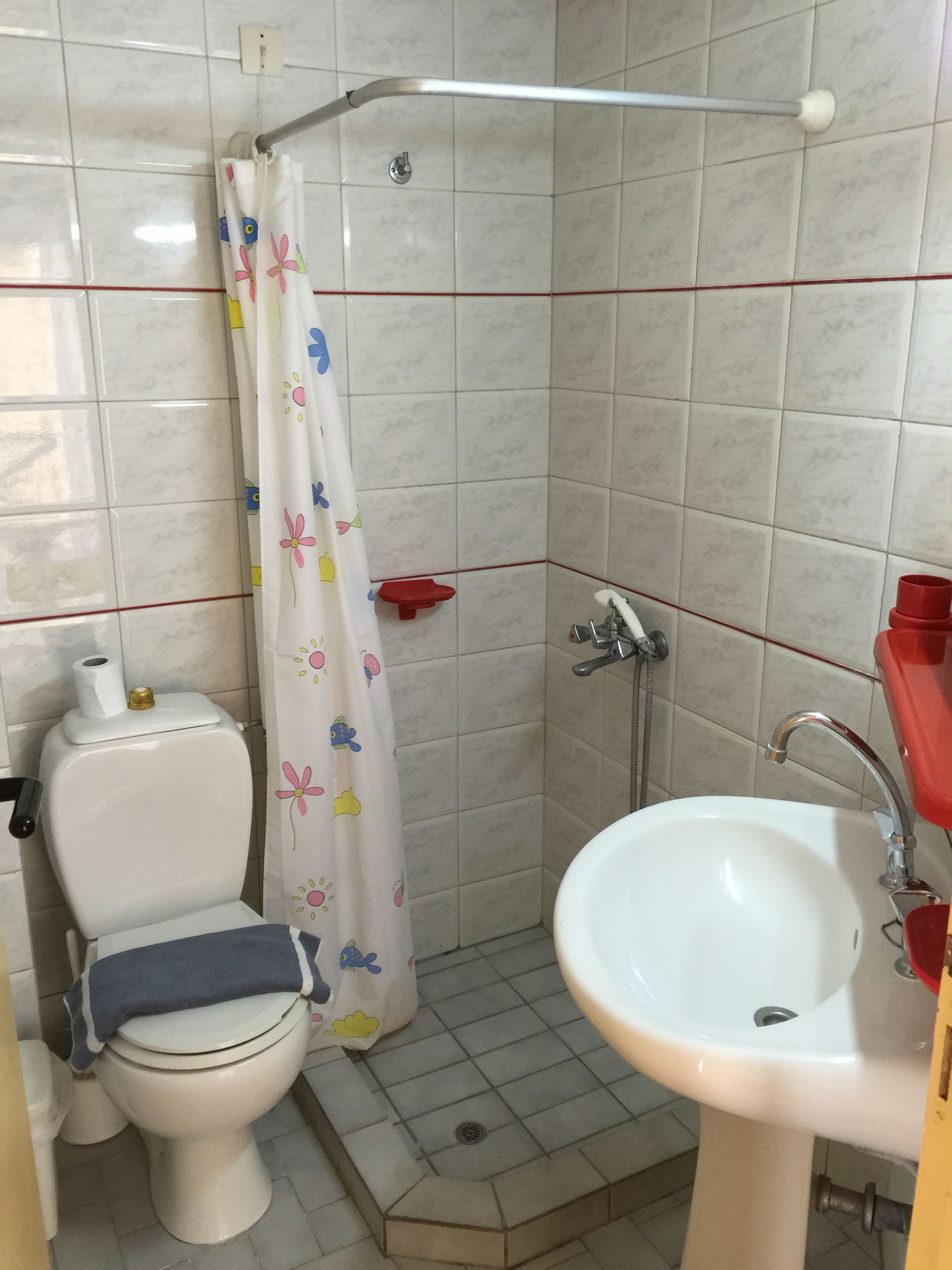 Une salle de bain avec des toilettes, une douche et un lavabo.