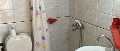 Une salle de bain avec des toilettes, une douche et un lavabo.
