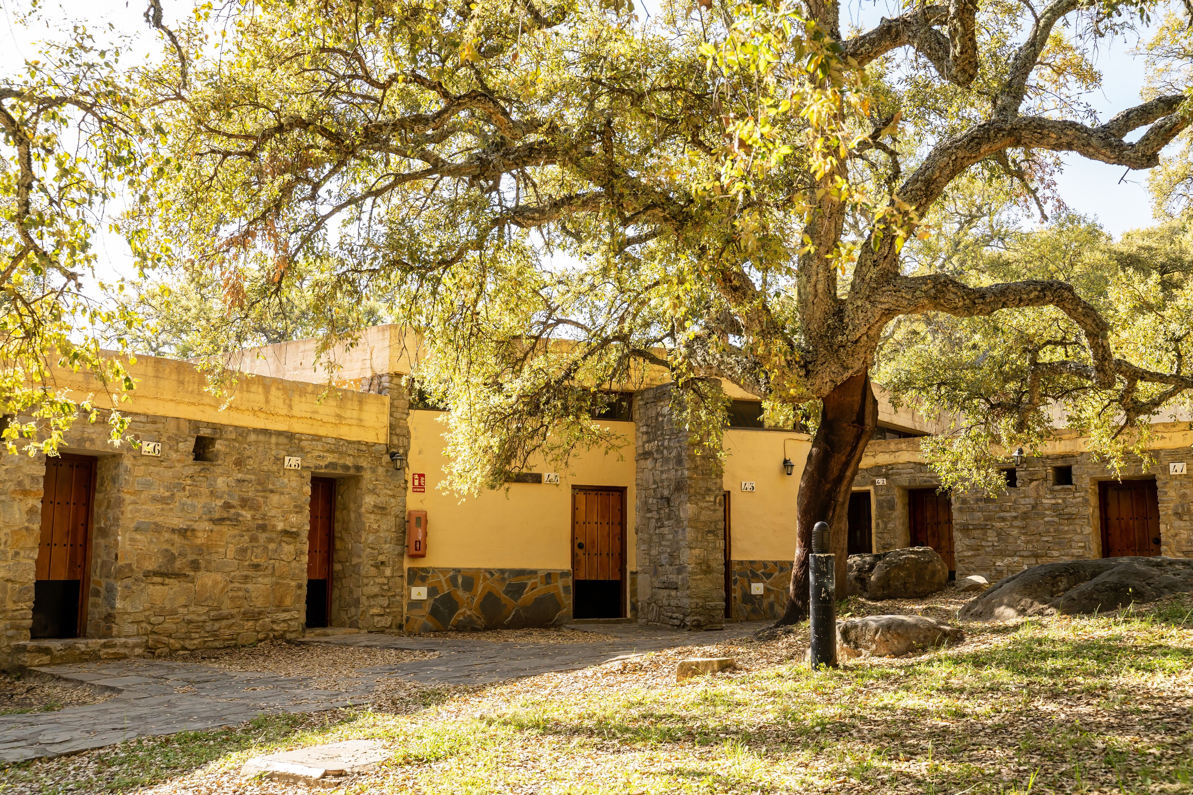 Un patio con muros de piedra, puertas de madera y un árbol grande que da sombra.