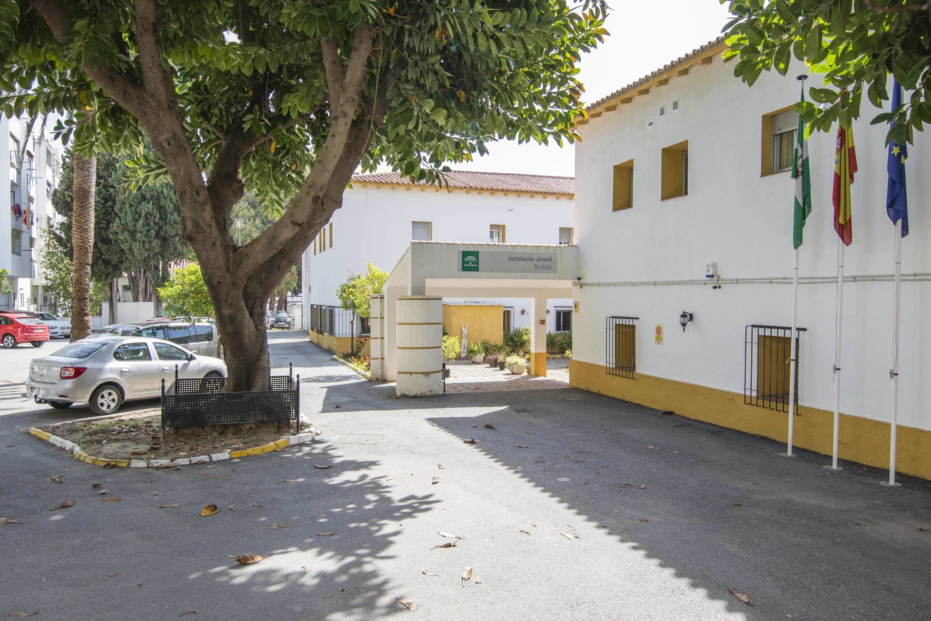Un edificio con fachada amarilla y blanca, un árbol en primer plano y banderas a la derecha.