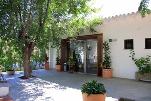 A building entrance with a glass door, surrounded by potted plants and a tree. - Albergue Inturjoven Punta Umbria - Hostel (Punta Umbría)