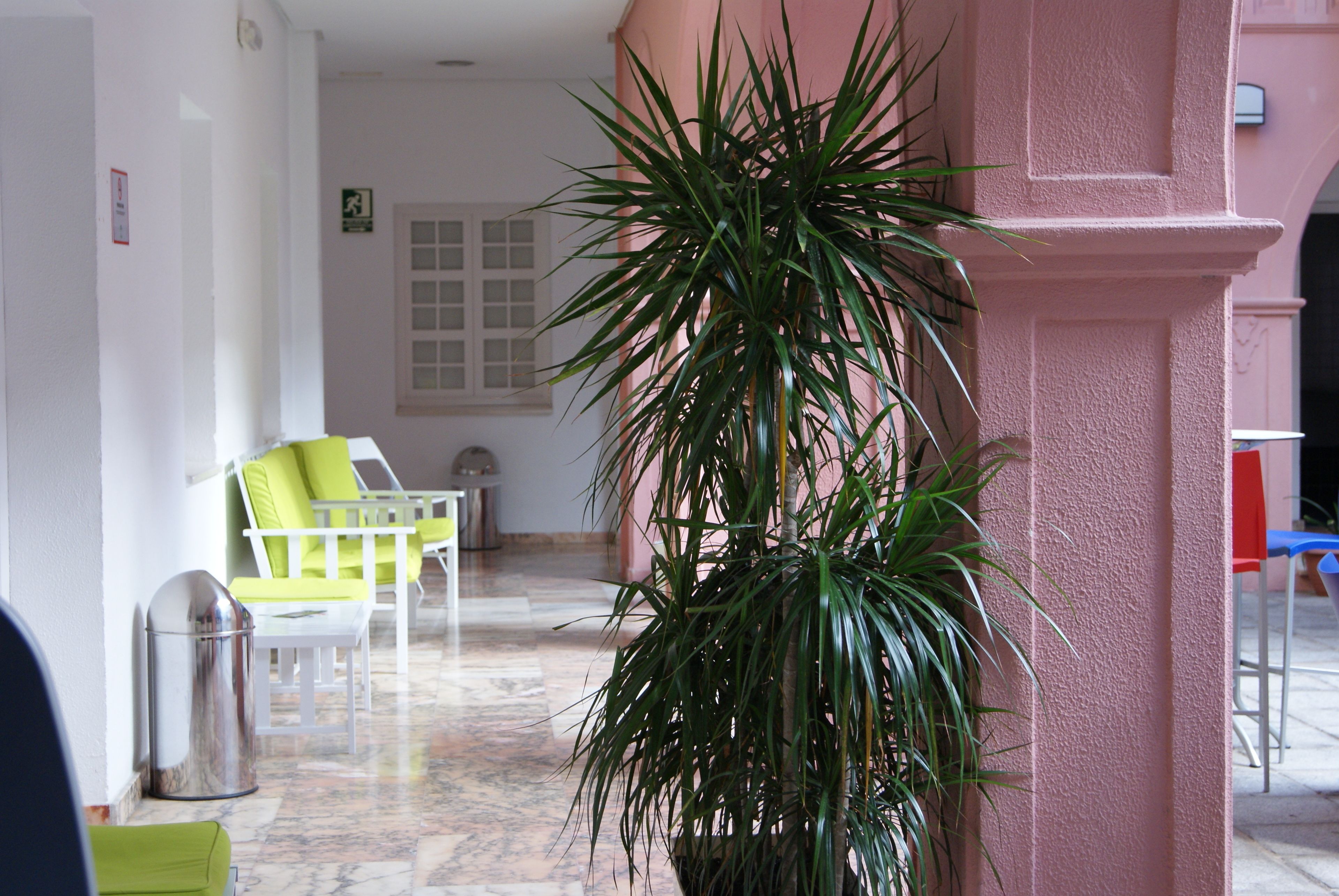 Foto - Albergue Inturjoven Huelva