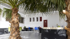 A spacious indoor area with a palm tree, blue chairs, and a black wicker sofa. - Albergue Inturjoven Jerez de la Frontera - Hostel (Jerez de la Frontera)