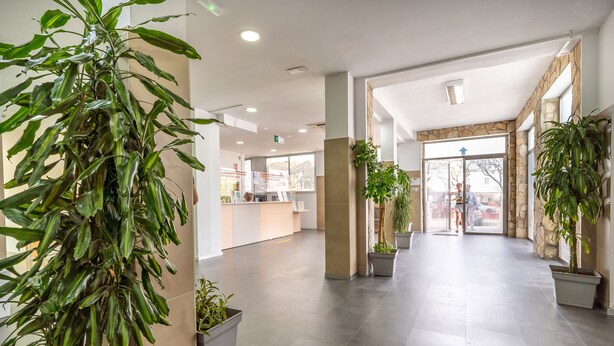 A spacious lobby with a reception desk, potted plants, and a clear view of the outside. - Albergue Inturjoven Jerez de la Frontera - Hostel (Jerez de la Frontera)