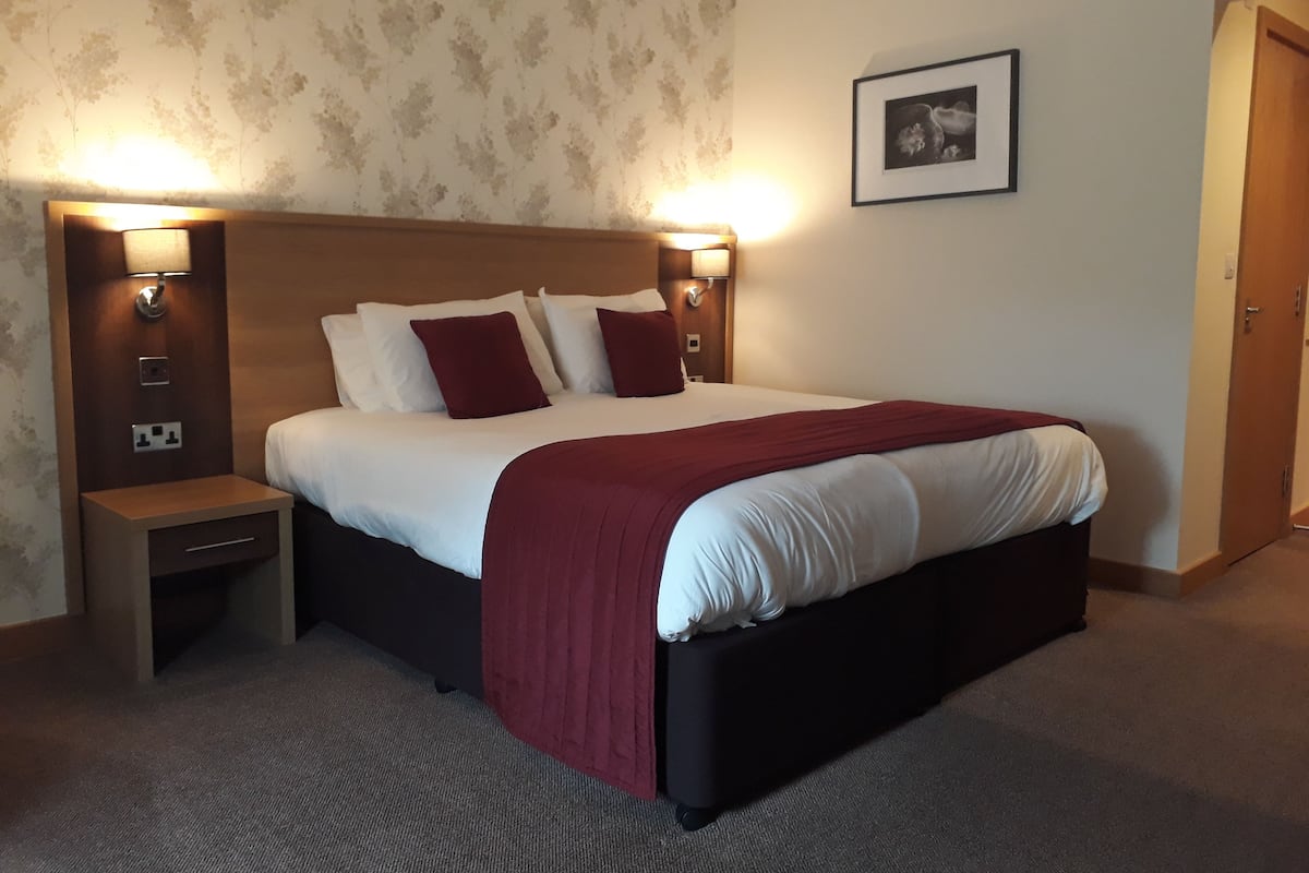 Habitación de hotel con cama, mesitas de noche, lámpara, un cuadro en la pared y piso alfombrado.