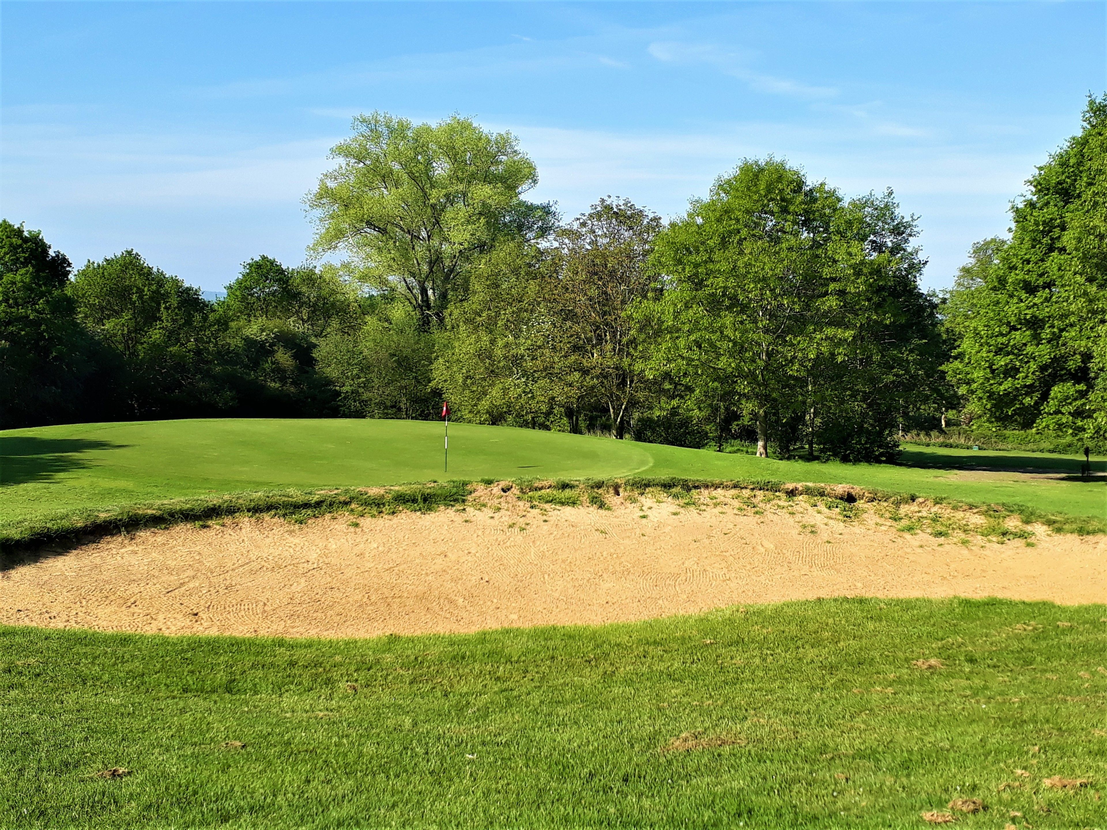 Un campo da golf con una buca di sabbia, alberi e cielo sereno.