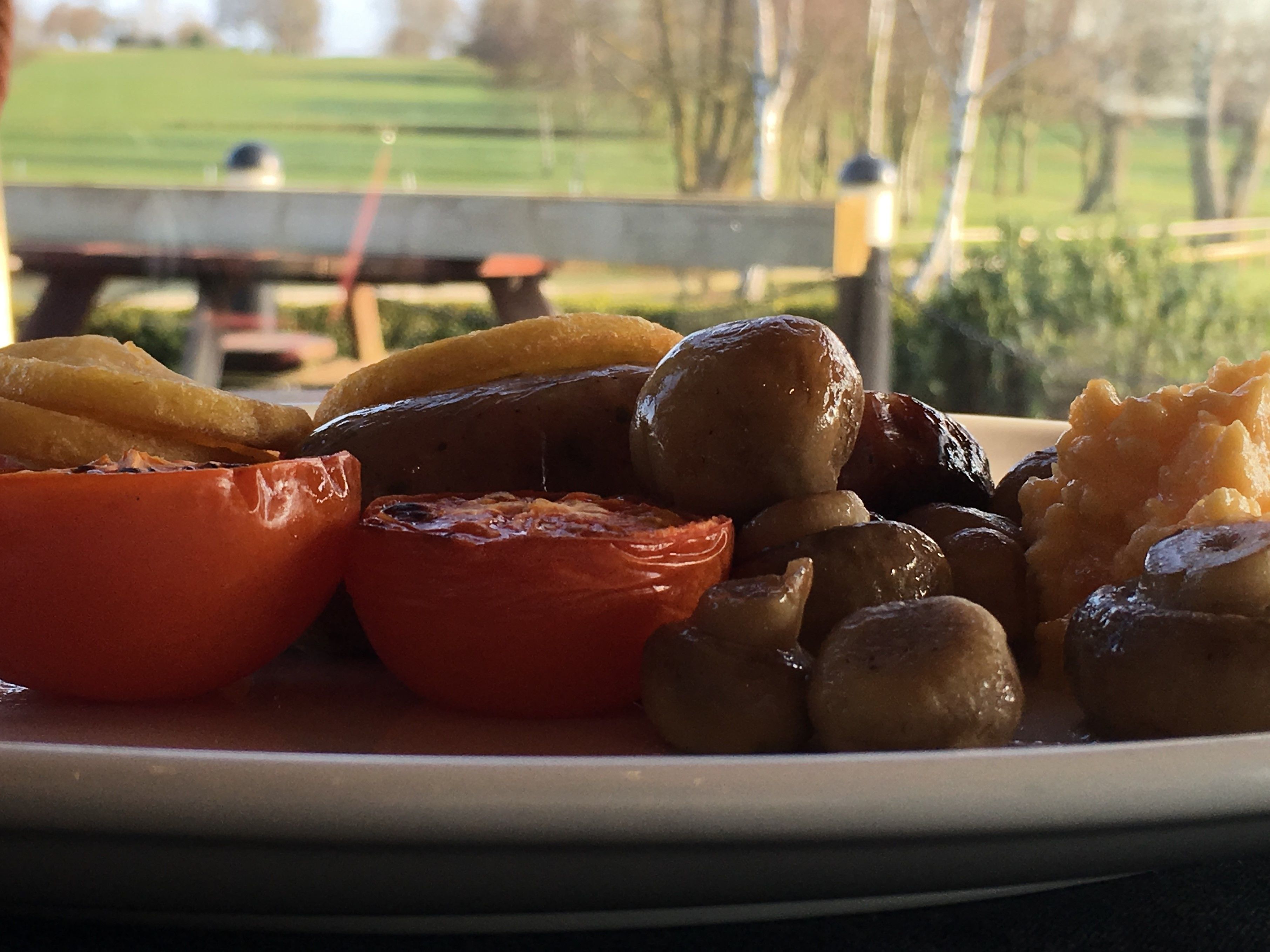 Un piatto di cibo con diversi ingredienti, tra cui pomodori e olive.