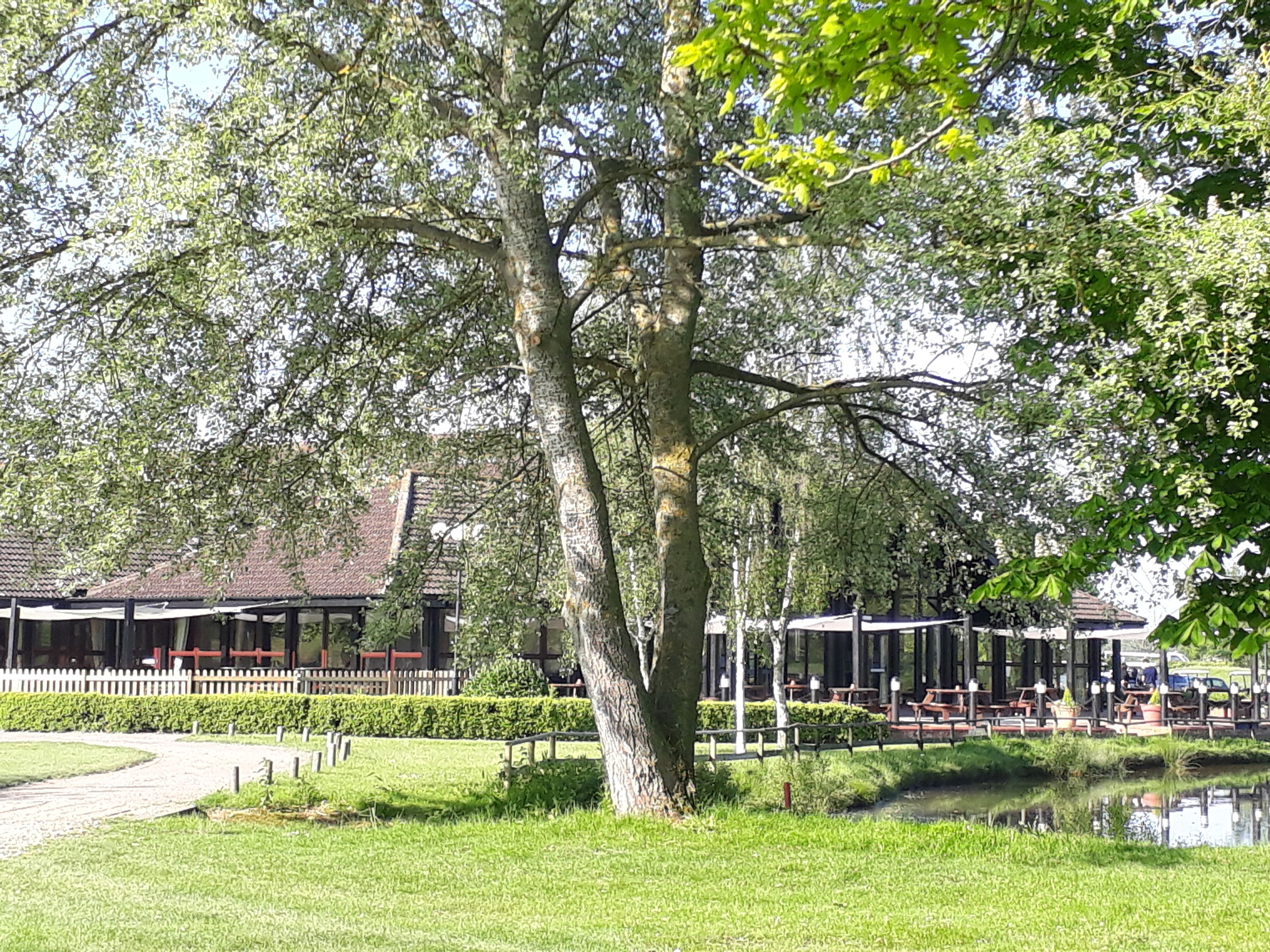 breakfast, lunch, dinner served; british cuisine