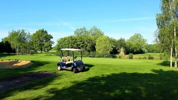 A golf cart on a well-maintained green with trees and a clear sky.