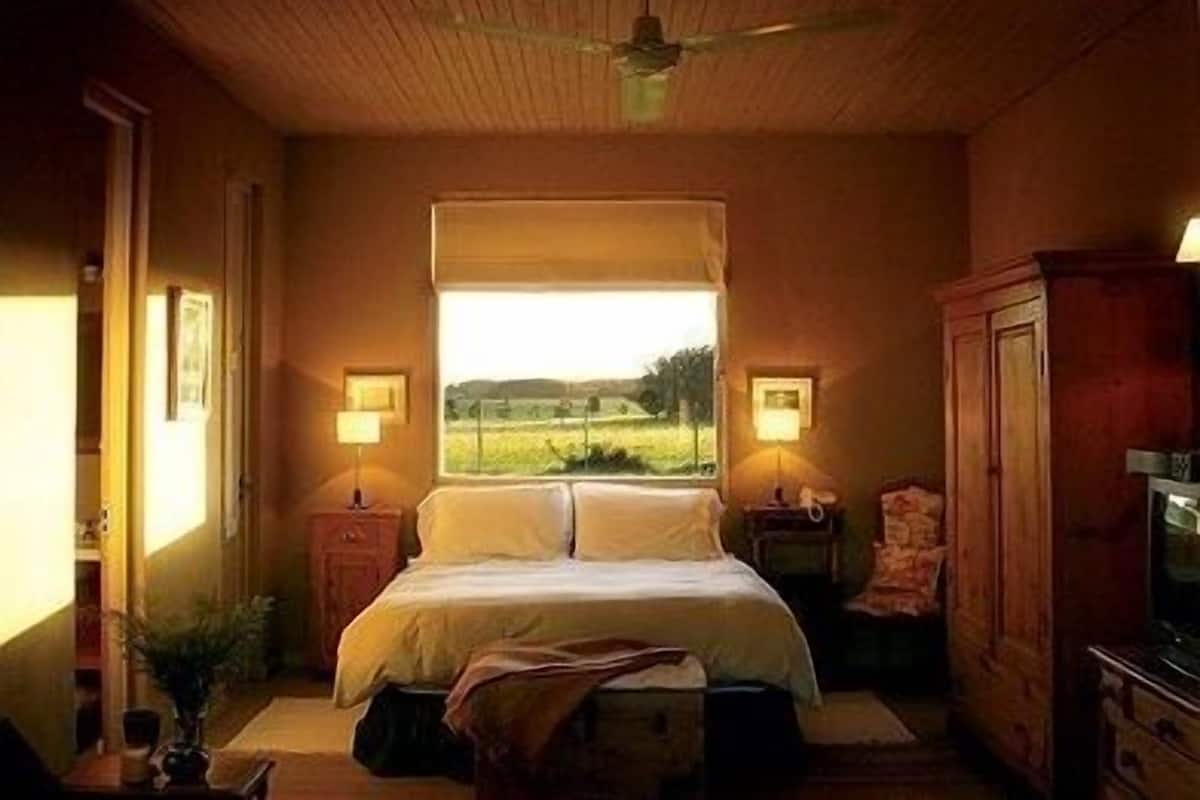 Junior Suite | Egyptian cotton sheets, premium bedding, down comforters, minibar