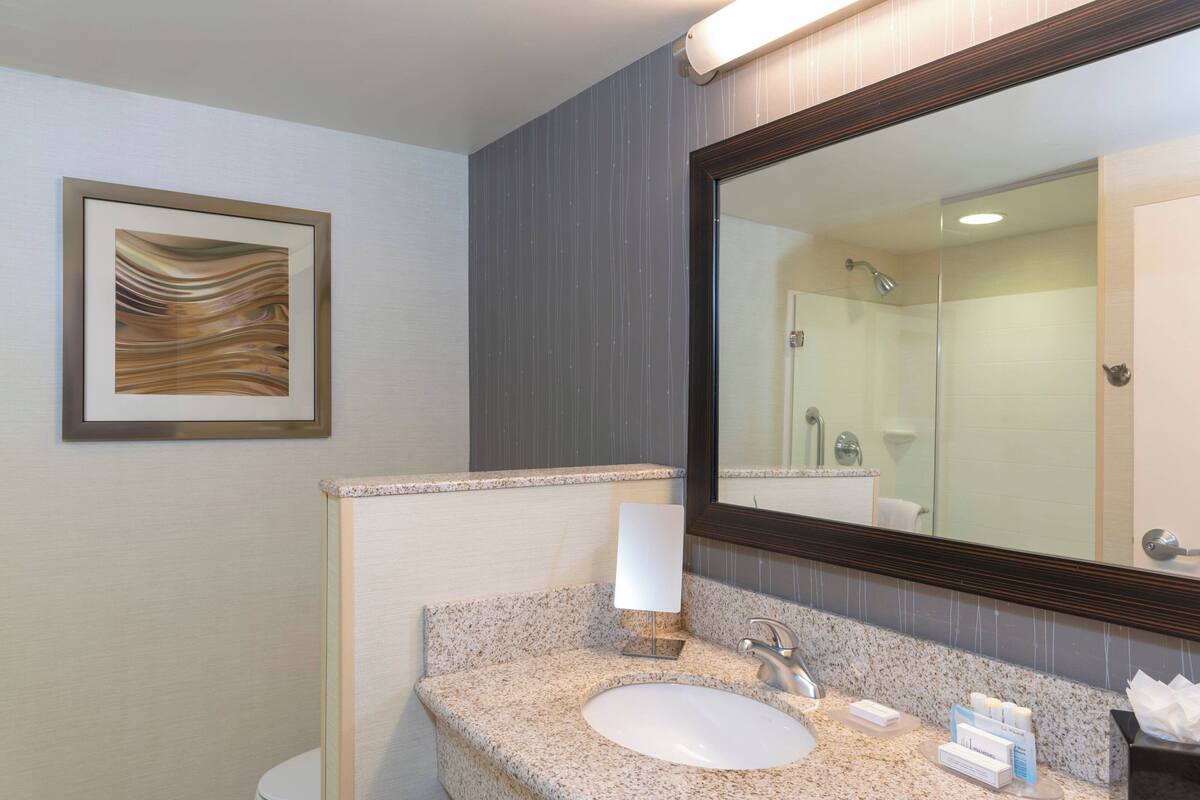 shower, free toiletries, hair dryer, towels