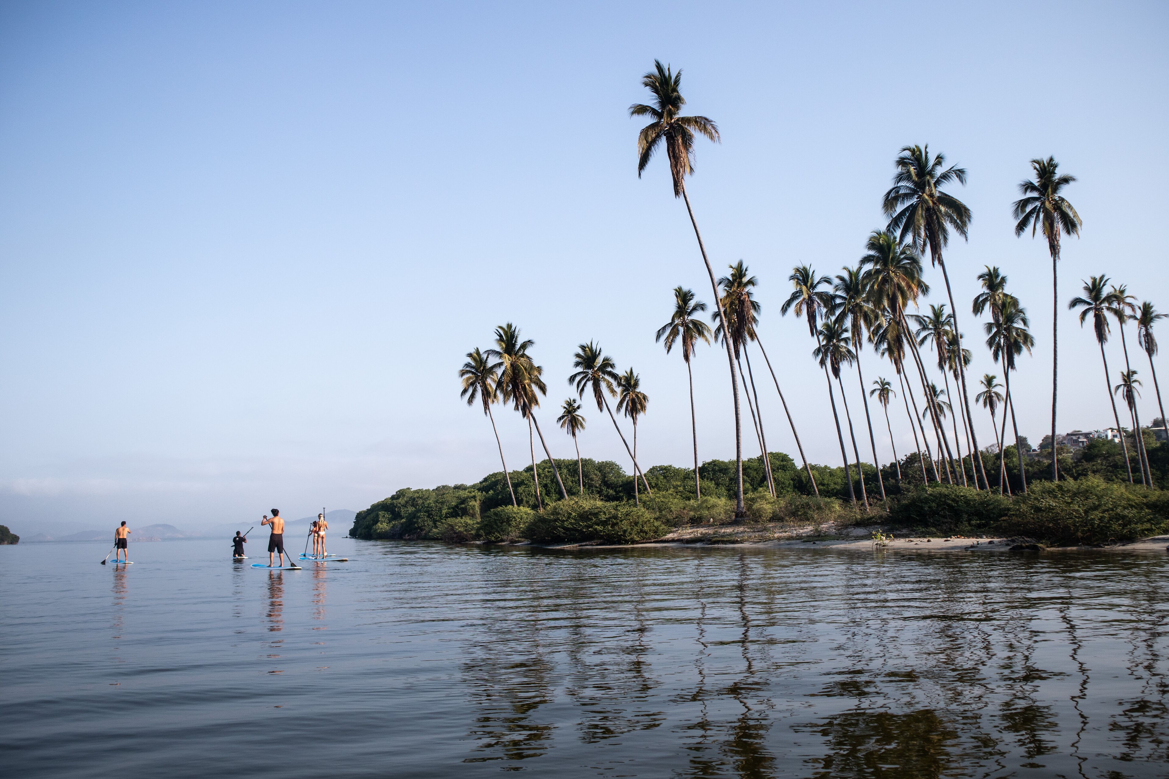 Una masa de agua tranquila con gente haciendo paddleboard, rodeada de altas palmeras y una orilla lejana.
