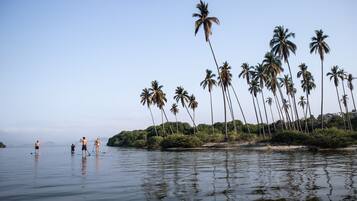 Una masa de agua tranquila con gente haciendo paddleboard, rodeada de altas palmeras y una orilla lejana.