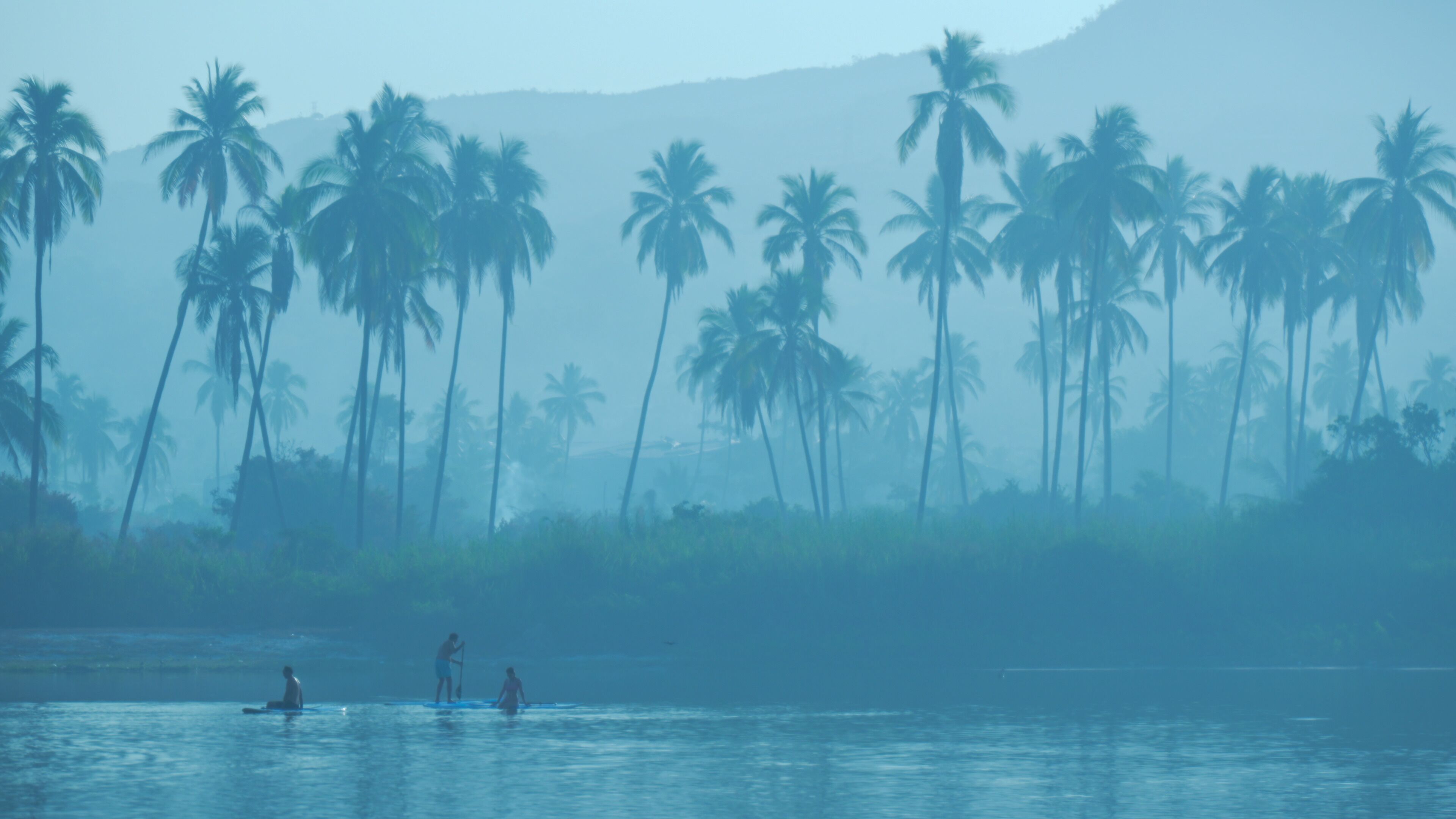 A tropical landscape with palm trees and a body of water.
