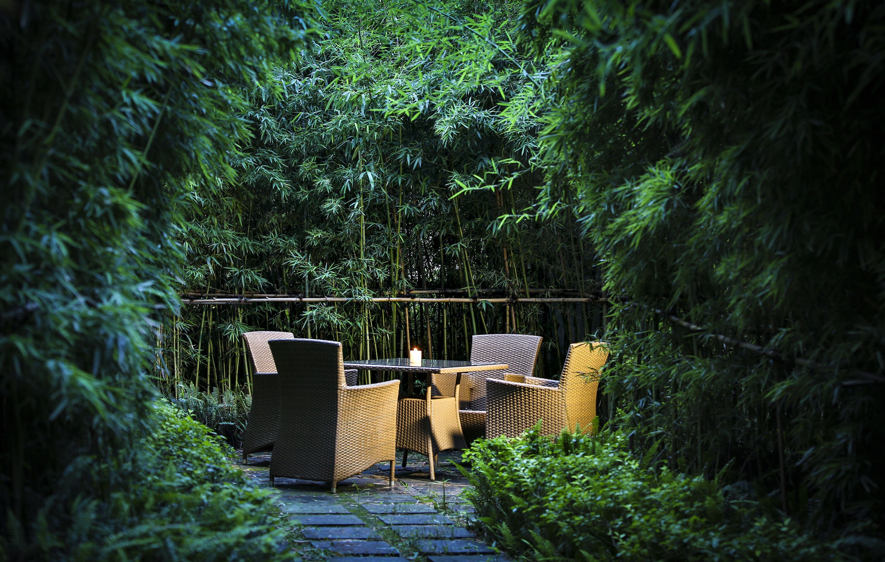 Foto - Crowne Plaza Chengdu Panda Garden by IHG - Near Panda Base