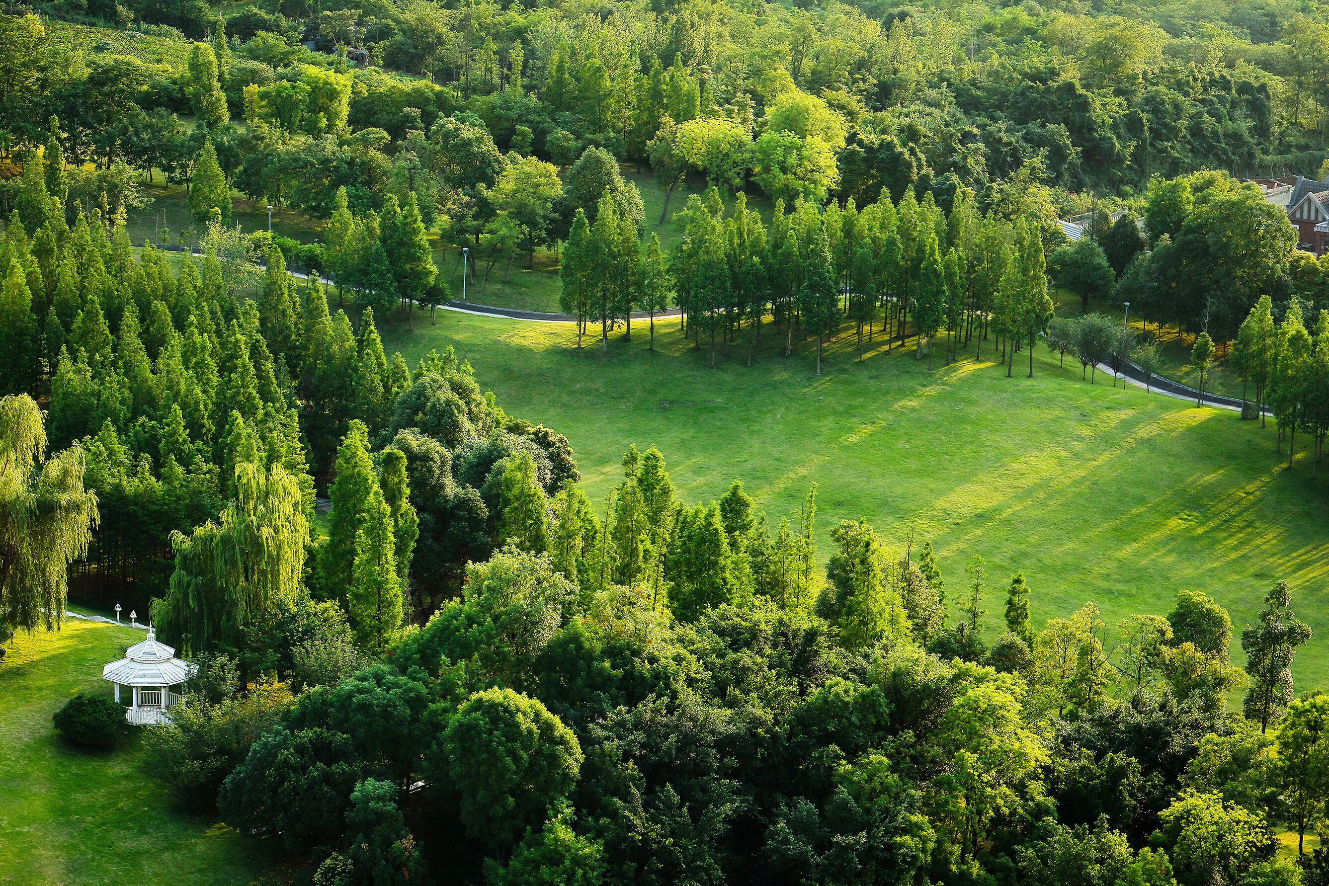Photo - Crowne Plaza Chengdu Panda Garden by IHG - Near Panda Base