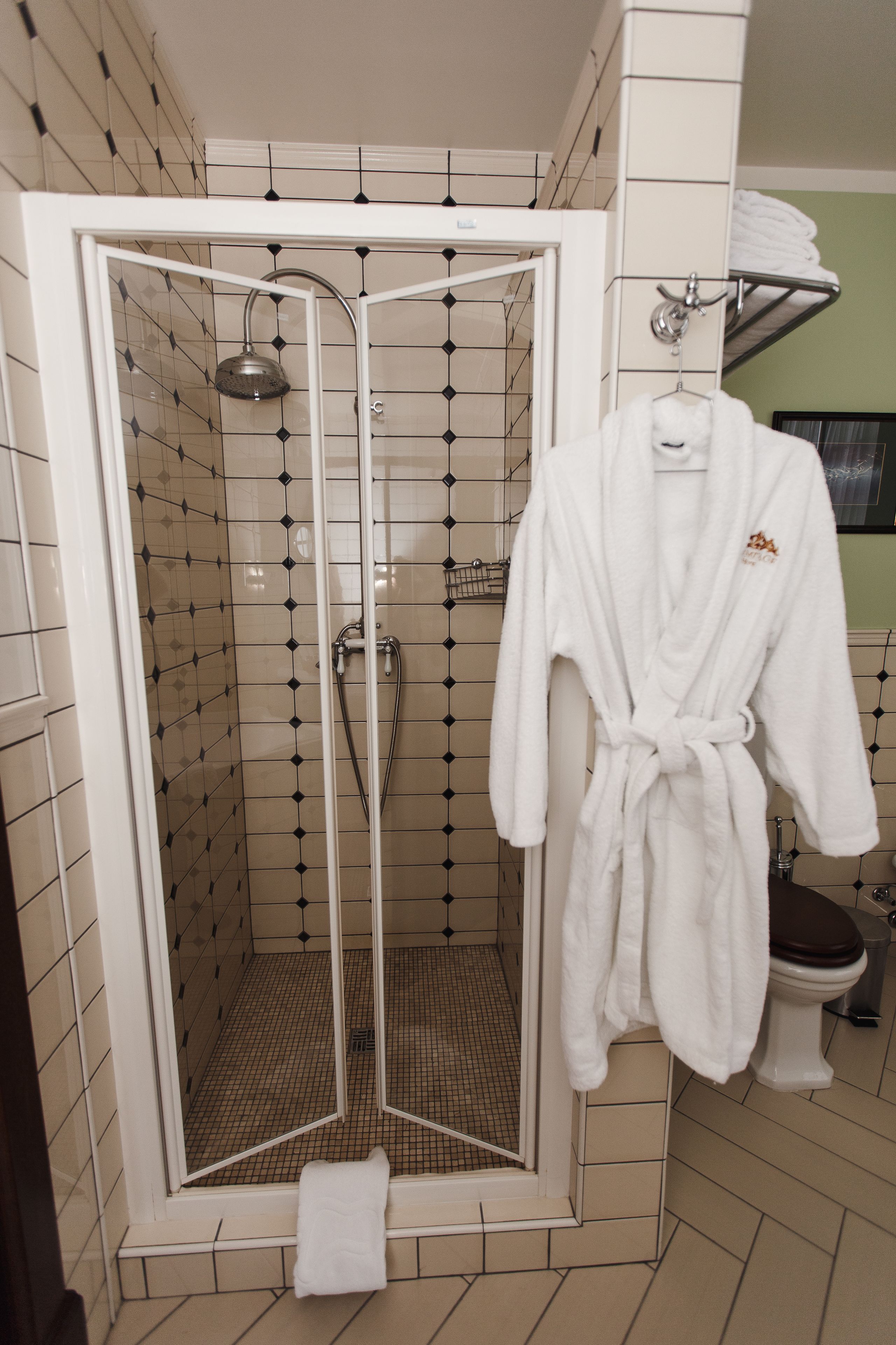 Une cabine de douche avec une porte en verre, un peignoir blanc accroché à un crochet, et des toilettes visibles au fond.
