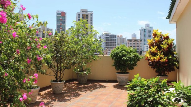 A rooftop garden with potted plants and a cityscape view. - Toscana Inn (Panama City)