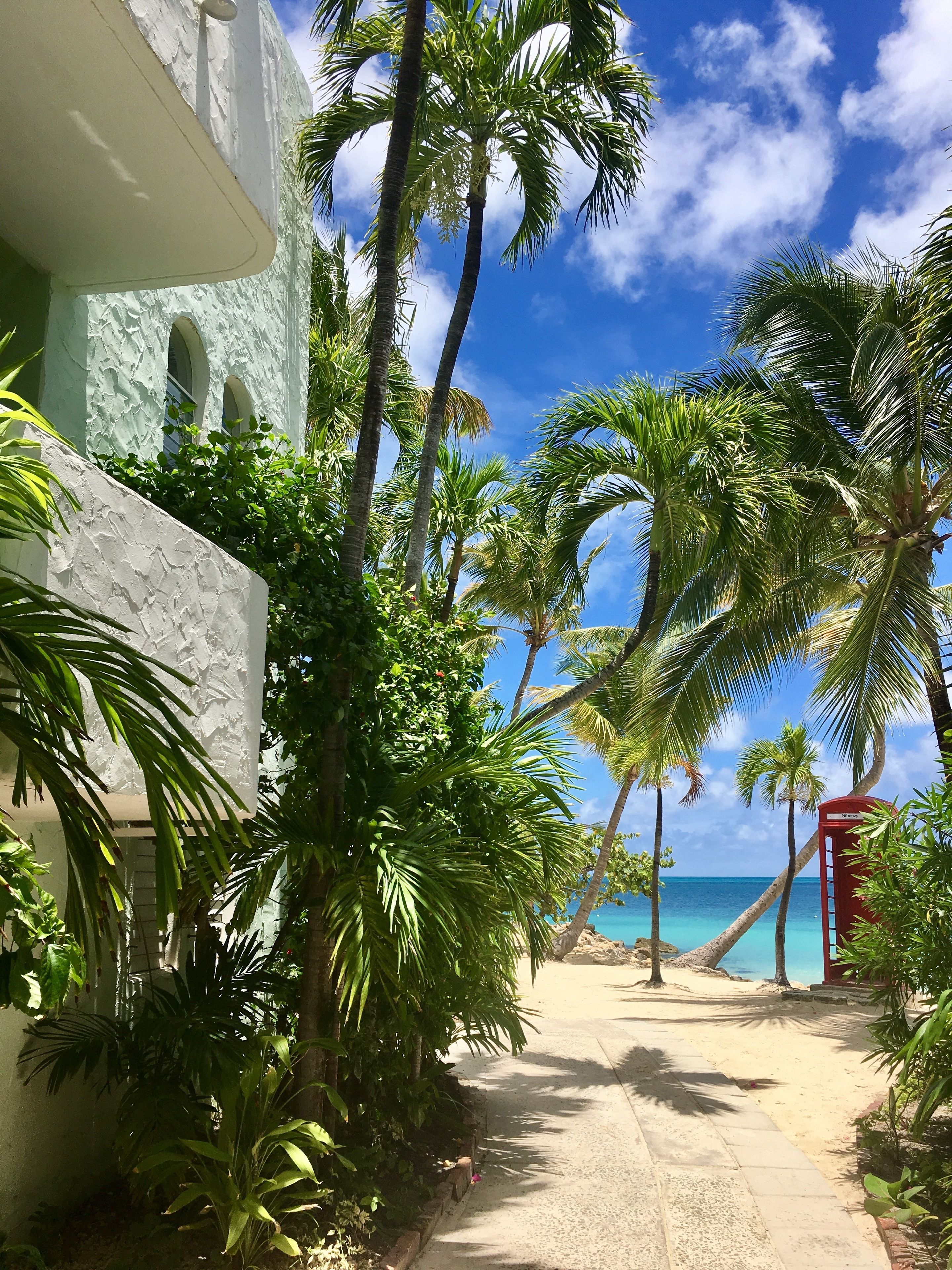 Un sentier menant à une plage bordée de palmiers et où se trouve une boîte aux lettres rouge.