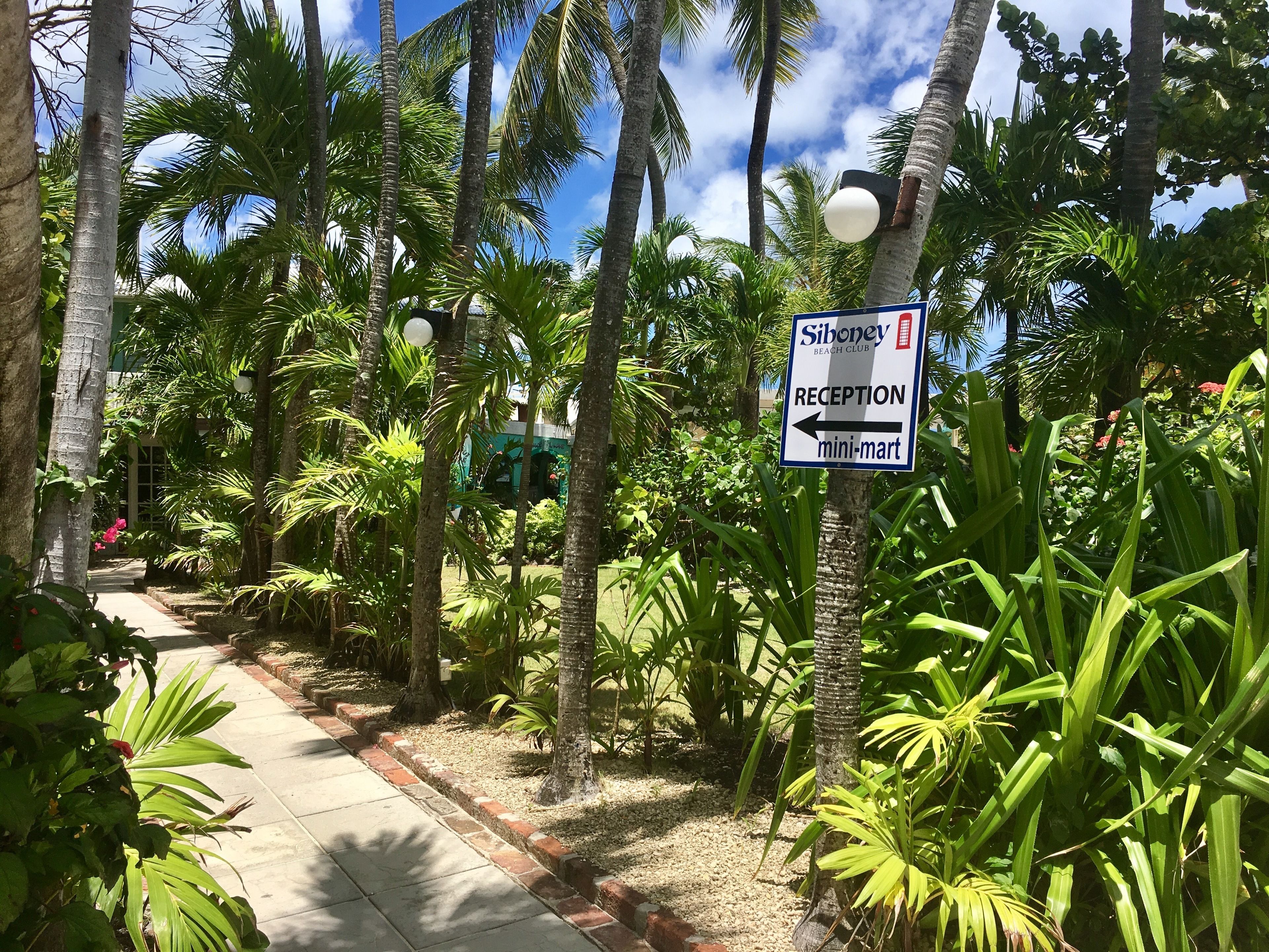 A pathway lined with palm trees leading to a sign for 'Siboney Beach Club' reception and mini-mart.